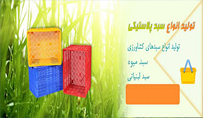 parss11234